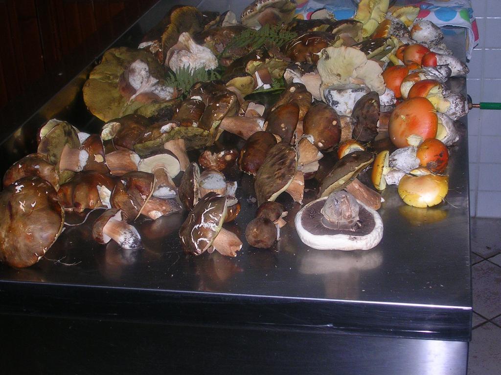 Sas Abbilas Bonorva المظهر الخارجي الصورة